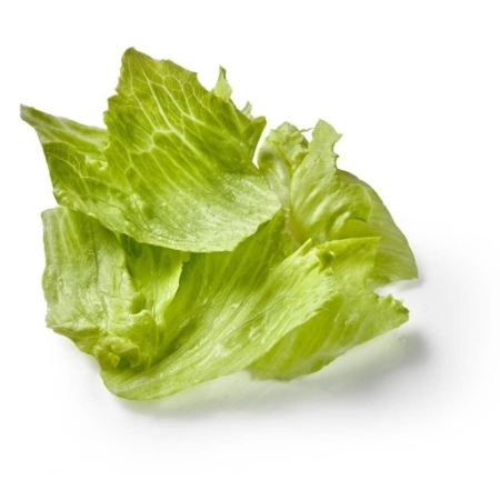 Picture of Lettuce